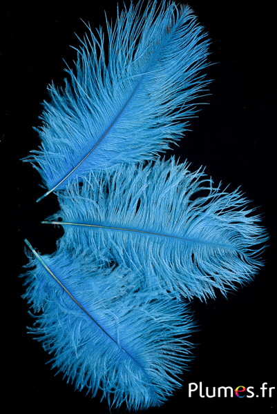 Autruche - 13-18 cm - turquoise
